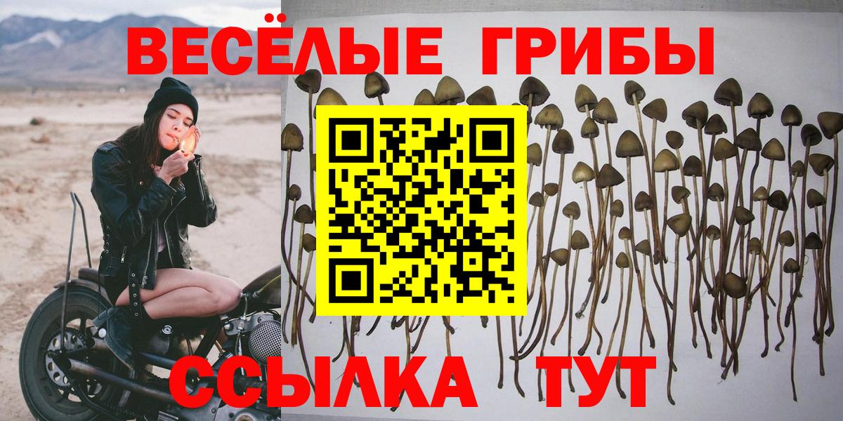 Галлюциногенные грибы мицелий Джанкой
