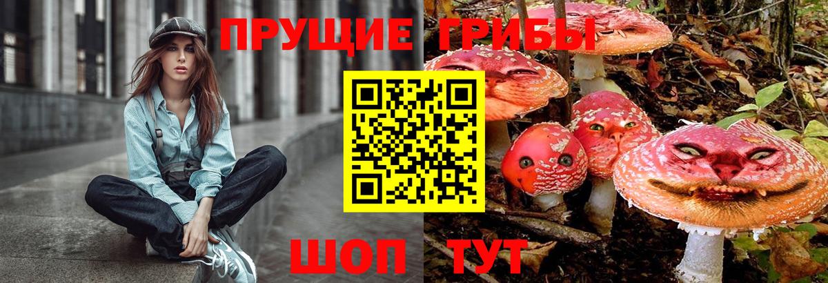 Джанкой  Псилоцибиновые грибы Cubensis  Вход с VPN 